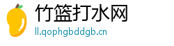 竹篮打水网